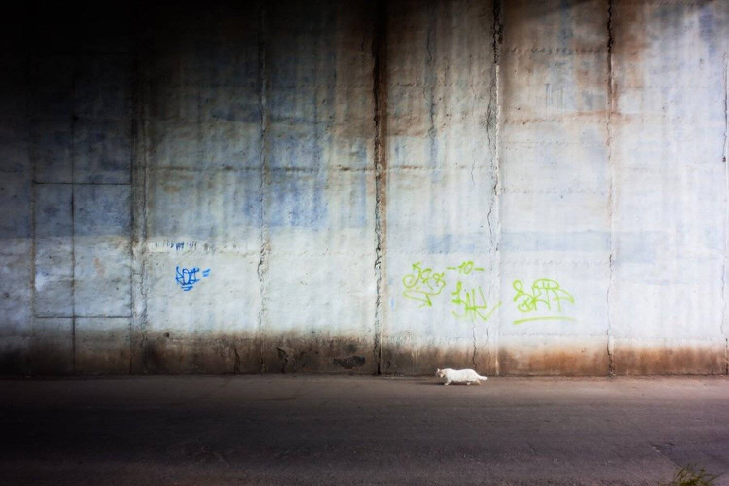 , Виталий Архипенко