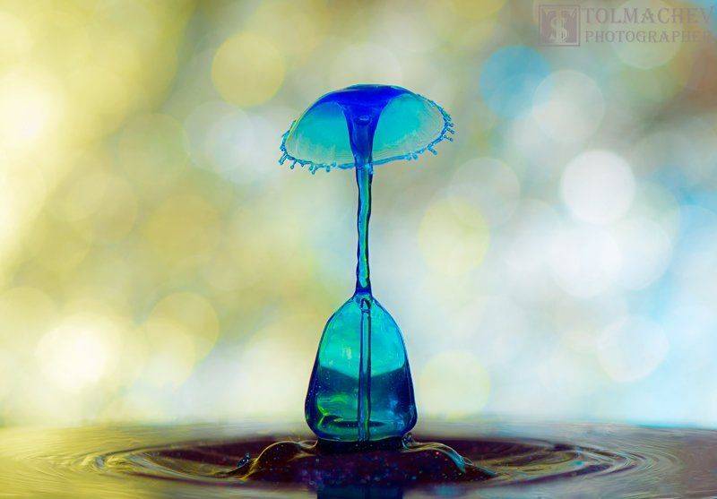 , Сергей Толмачев