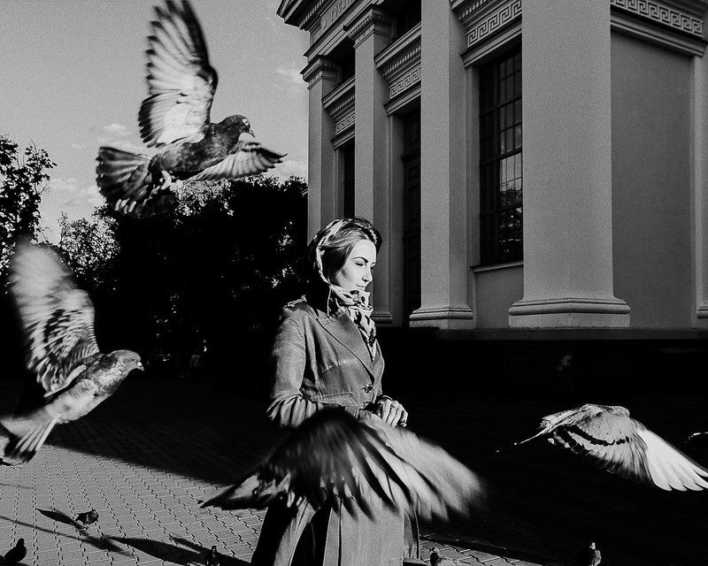 Птицы фото превью