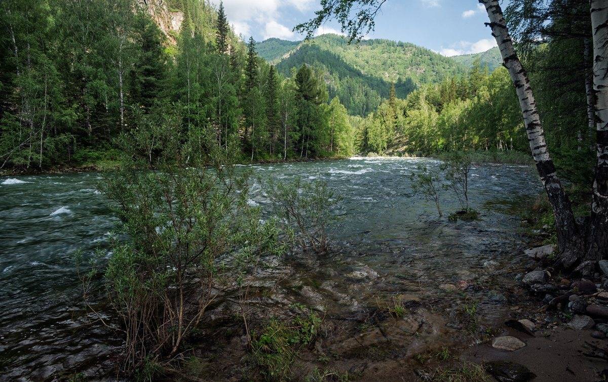 , Николай Ляпин