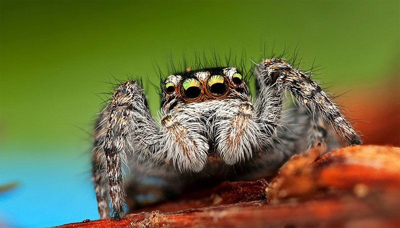 What\'s up ? фото превью