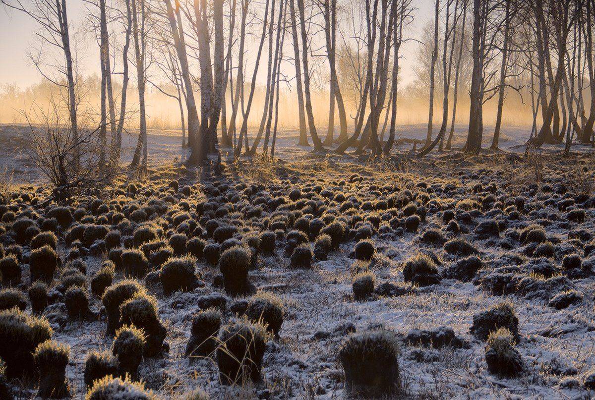 , Николай Морский