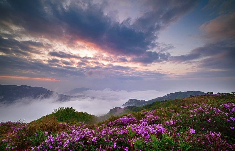 One spring day фото превью