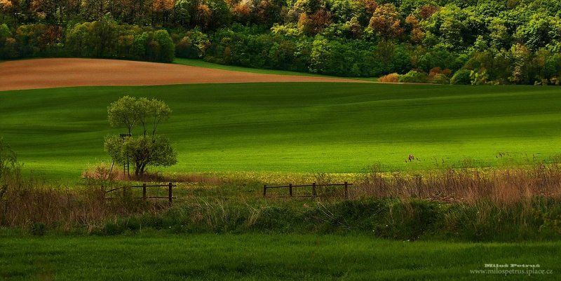 Зеленая долина фото превью