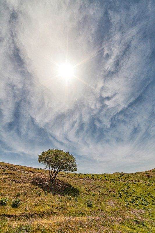 Хатлонский солнцепек фото превью