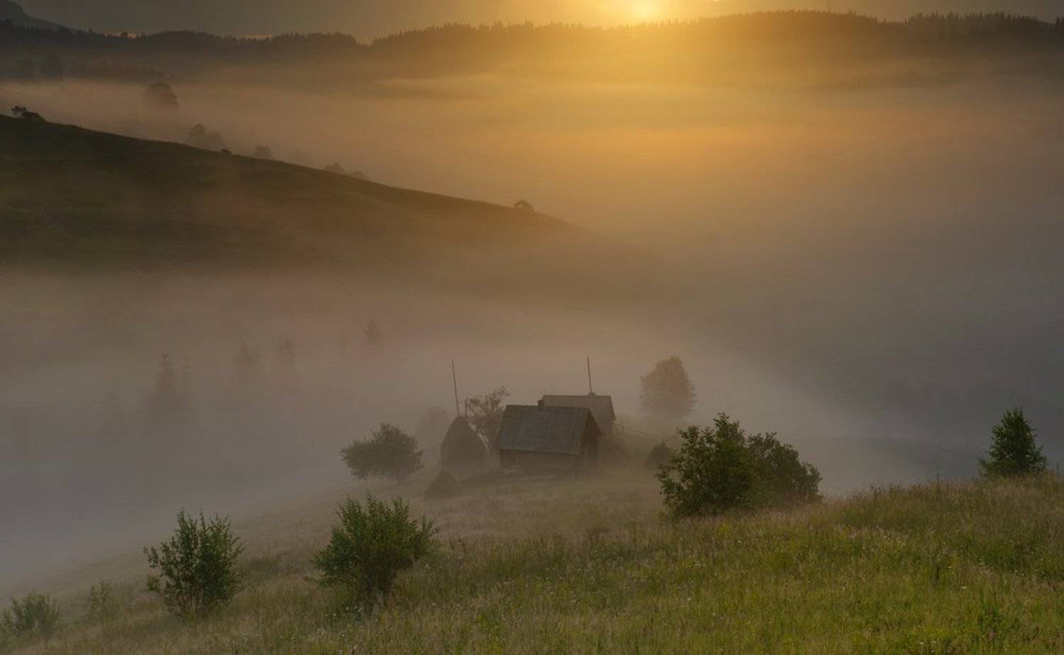 , Эдуард Гордеев