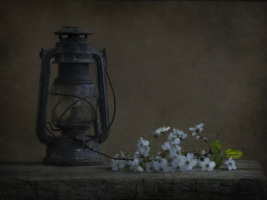 , Петрова Татьяна