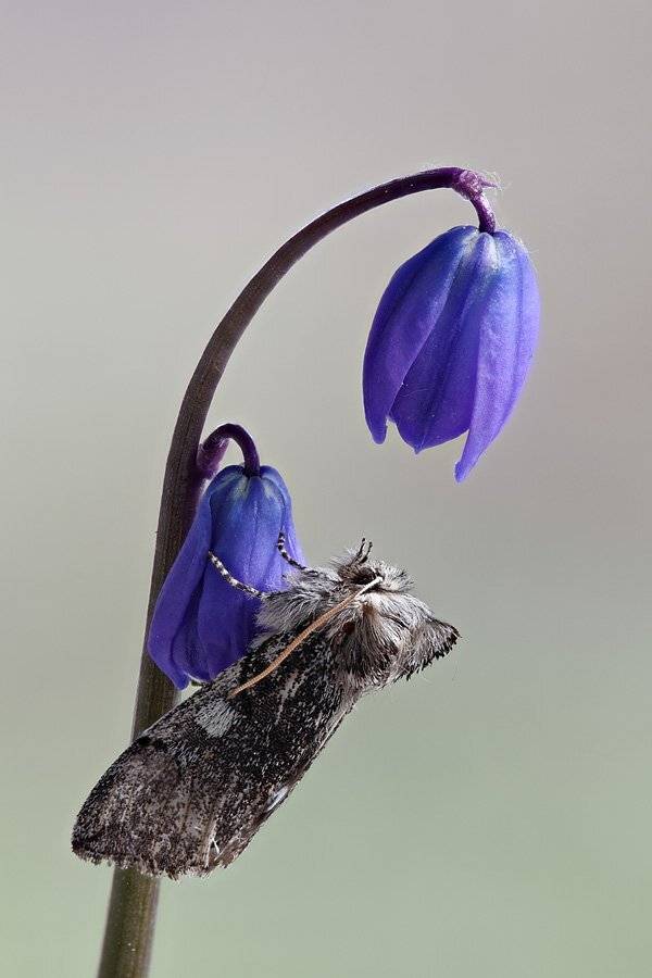 , Сергей Таланов