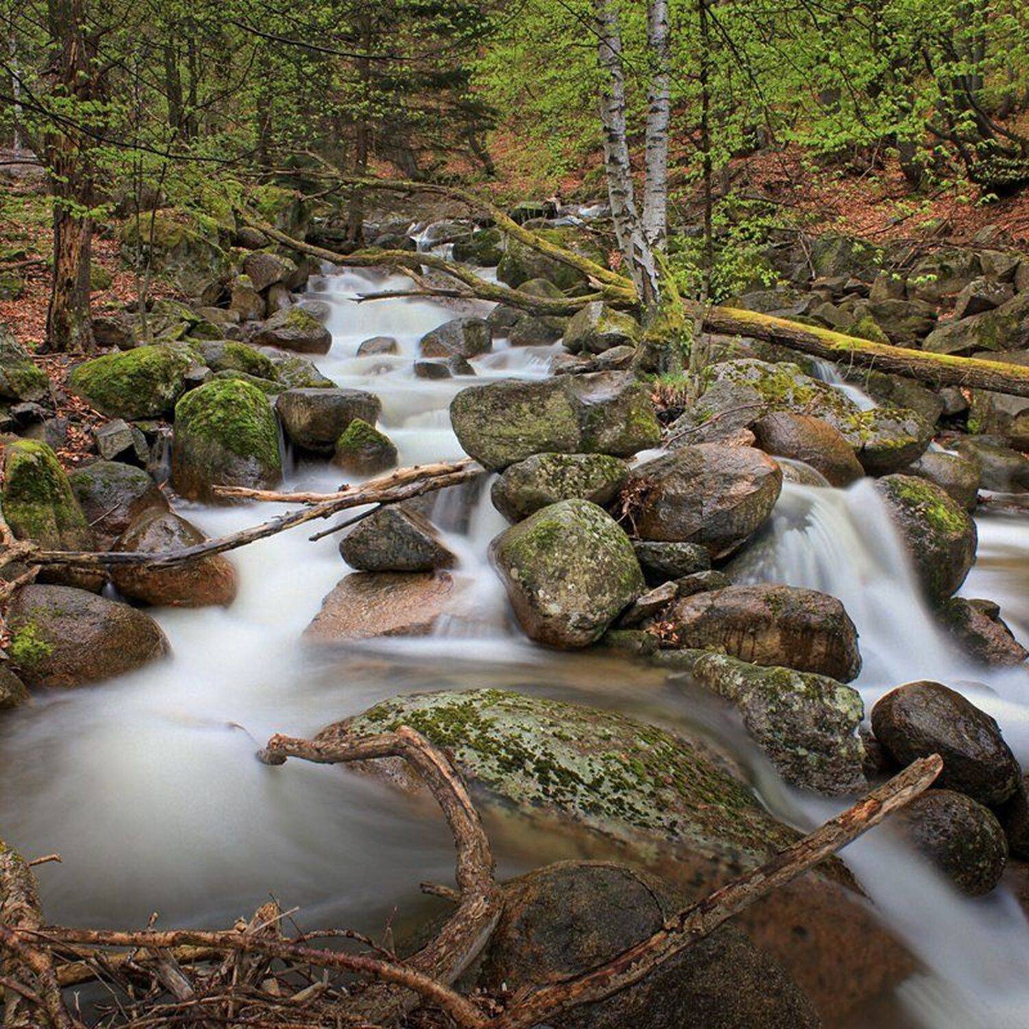 , Ирина Костова