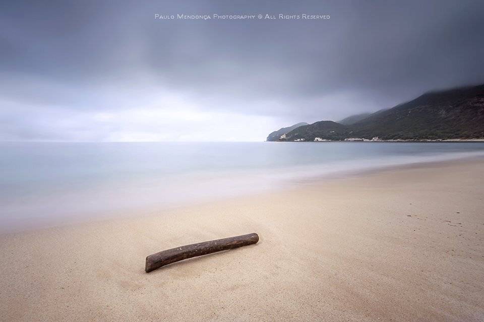 , Paulo Mendon&ccedil;a