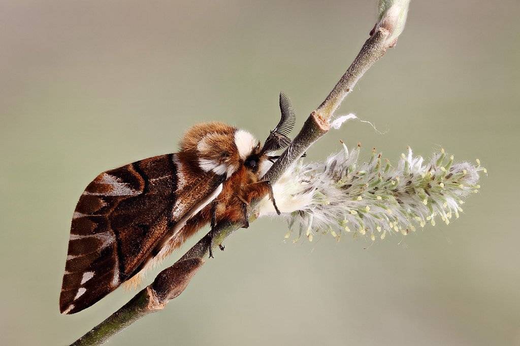 , Сергей Таланов