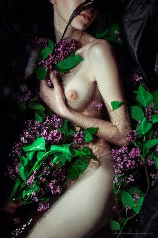 сирень фото превью