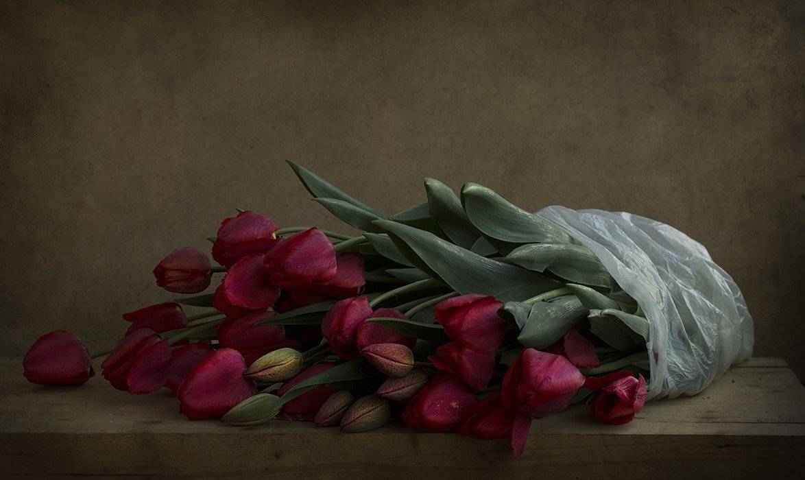 , Петрова Татьяна