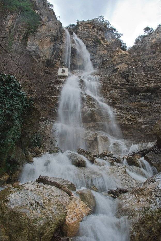 , Саша  Вайсберг / Waldschnepfe /