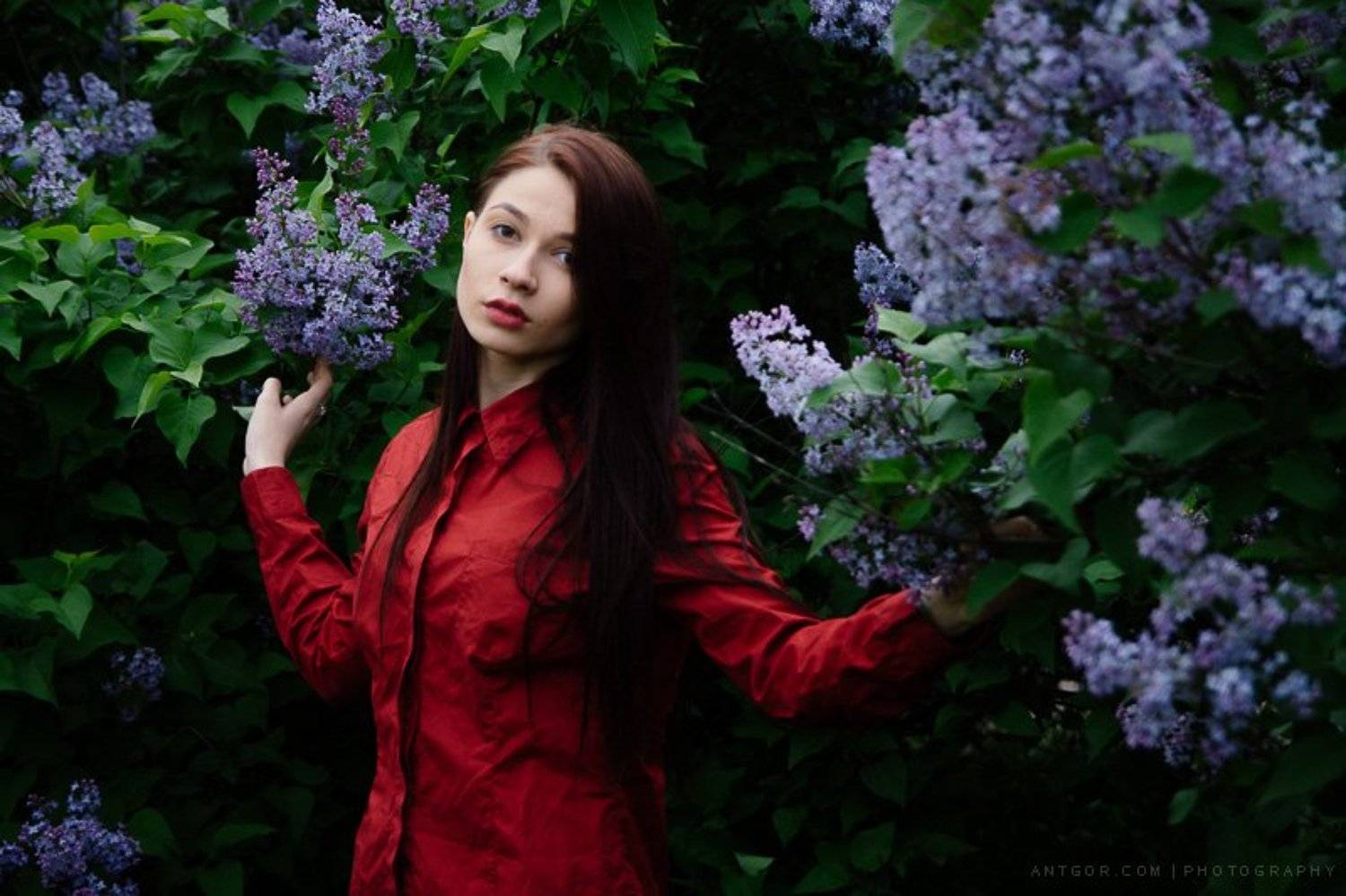 , Антон Горобец