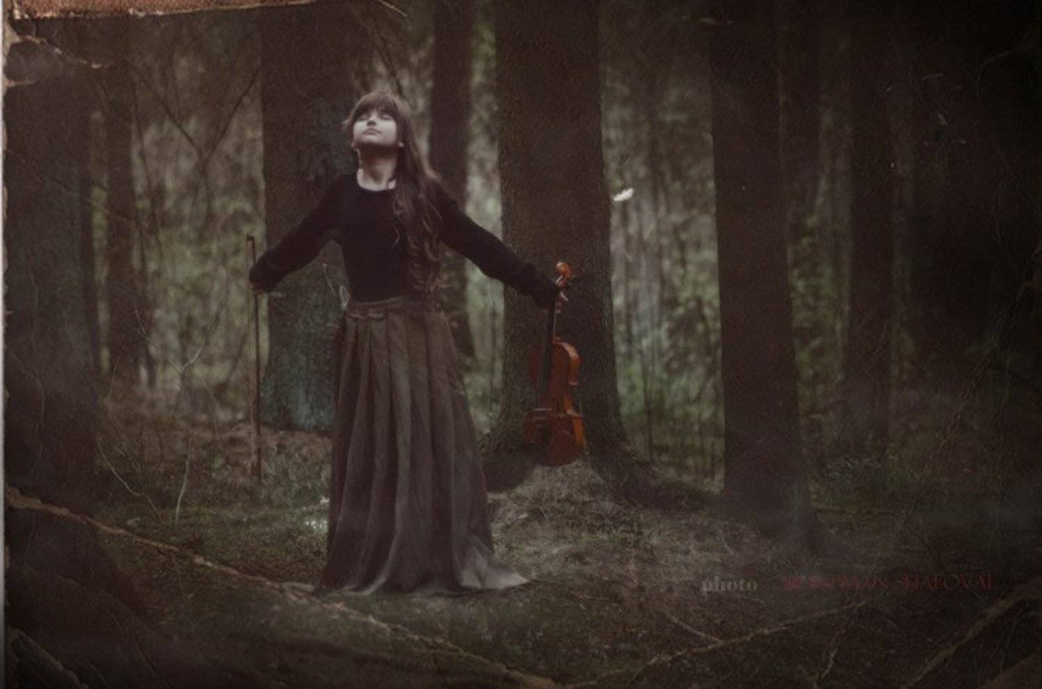 Лес, Портрет, Скрипка, Роман