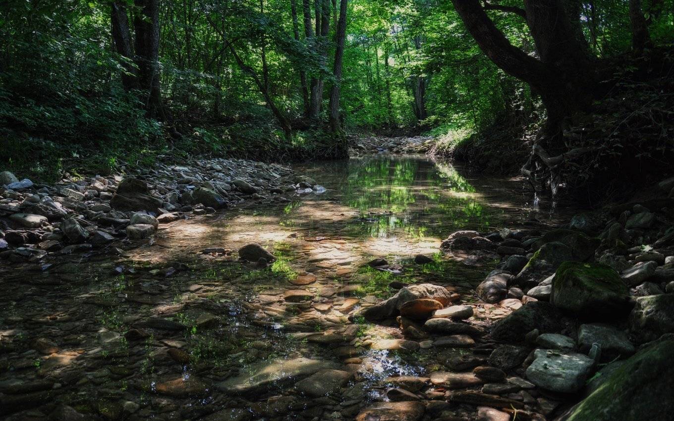 , Александр Круль