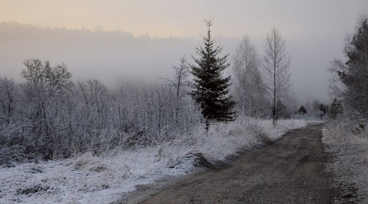 , Николай Морский