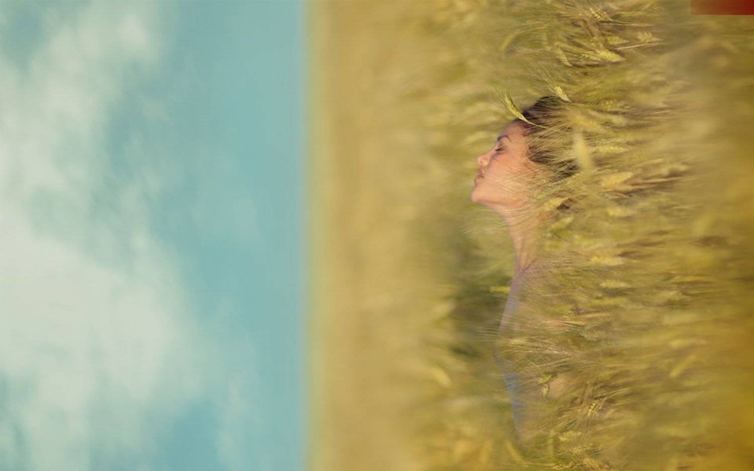 Lucas, Lucastudio, Nude, Andrew Lucas