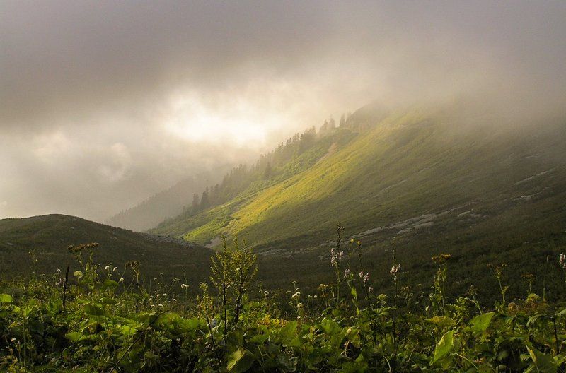 *** фото превью