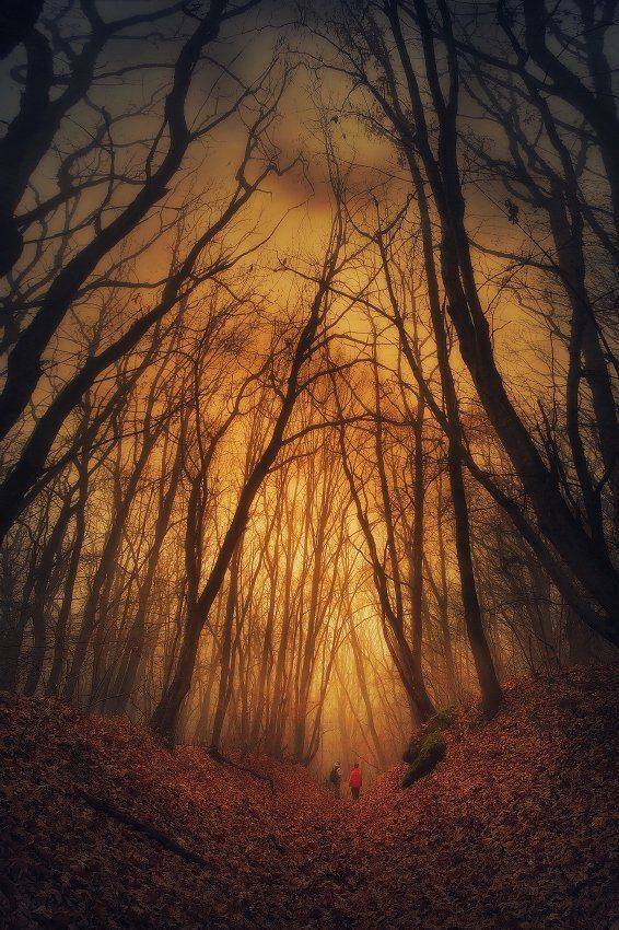 , Михаил  Пилипенко