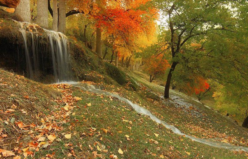 ===g=== фото превью