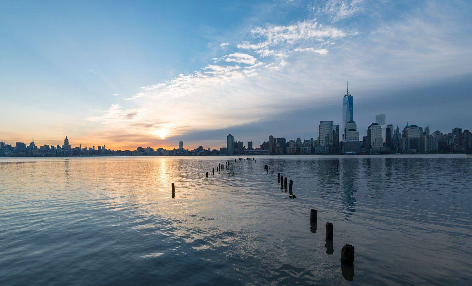 , Роман Джаджа