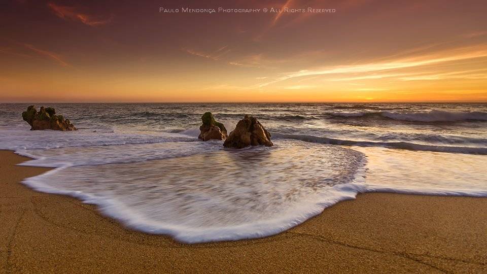 , Paulo Mendon&ccedil;a