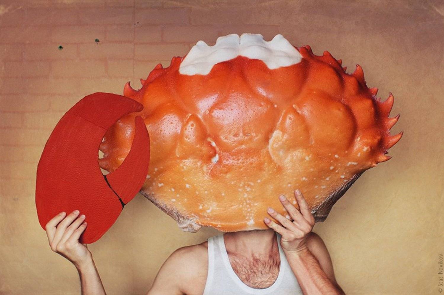 , Станислав Новиков