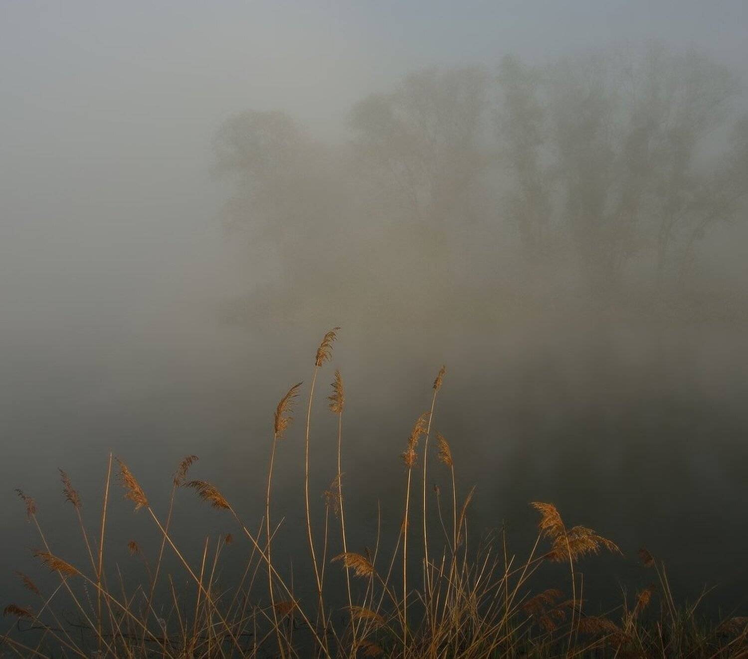 , Животков Андрей