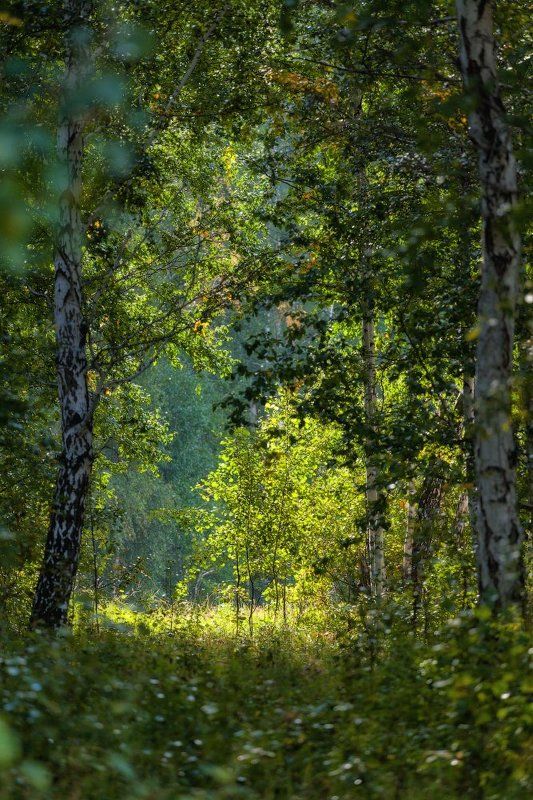 *** фото превью