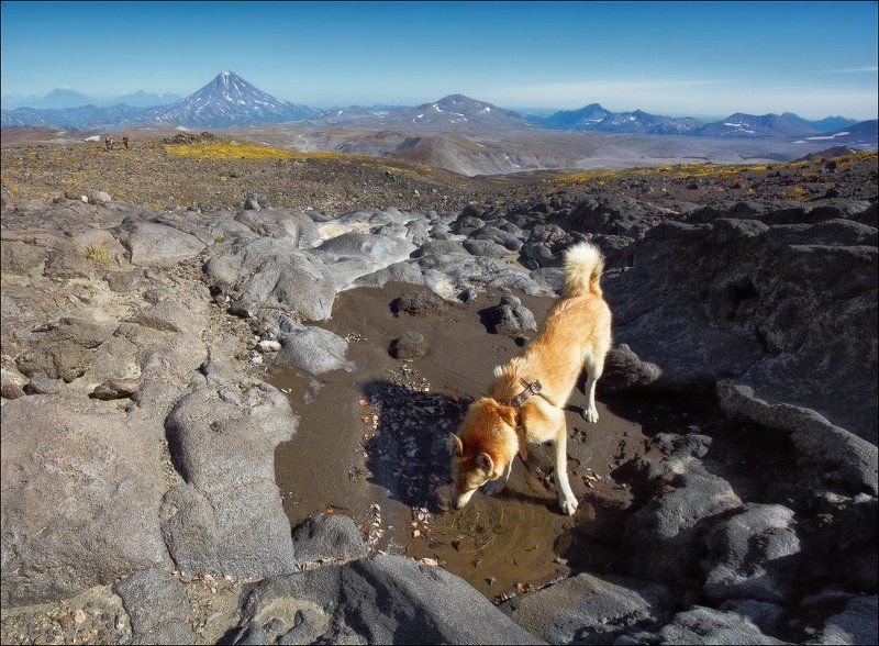 Попить по пути на вулкан. фото превью