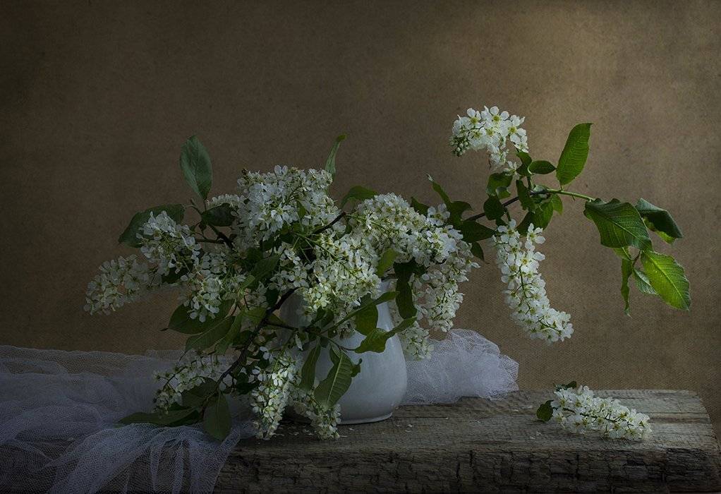 , Петрова Татьяна