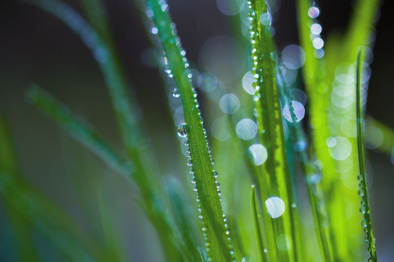 Простые сложности фото превью