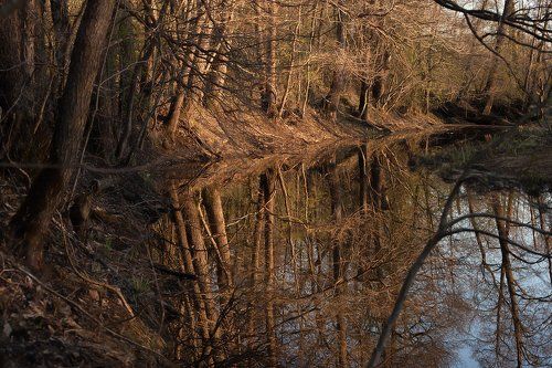 Pro параллельные миры...