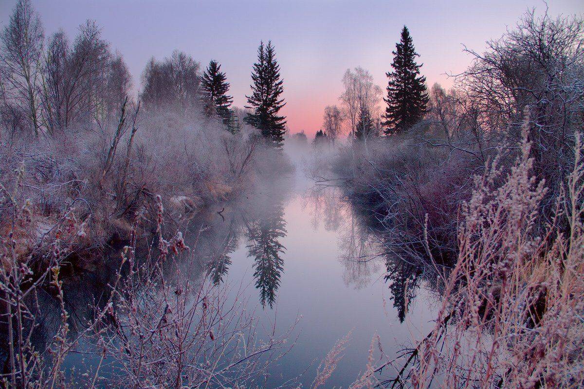 , Николай Морский