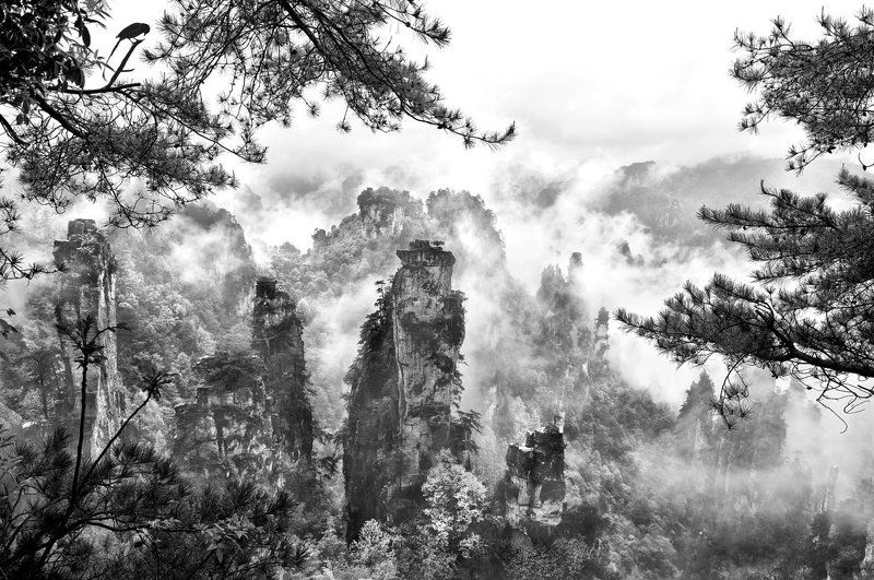 Рисунки Мастера Природы... фото превью