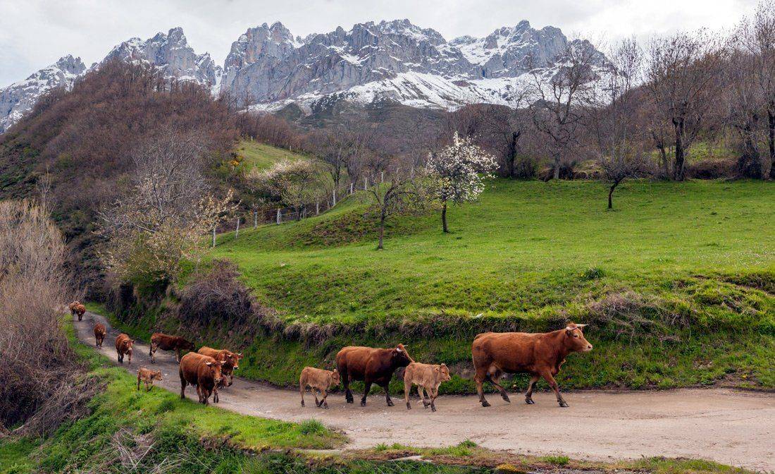 , Людмила Прокофьева
