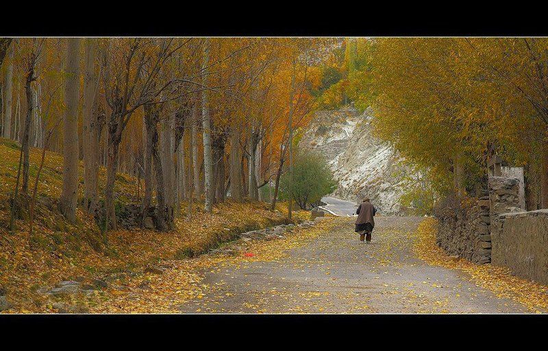 ===f=== фото превью