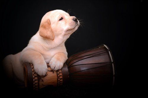 Разное-разное-приразное