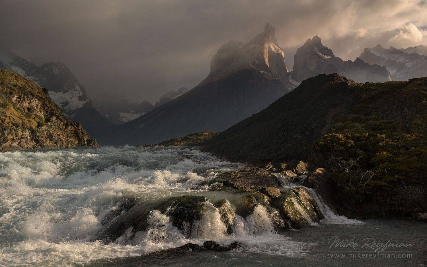 , Майк Рейфман