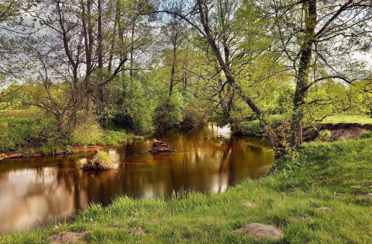 , Вейзе Максим