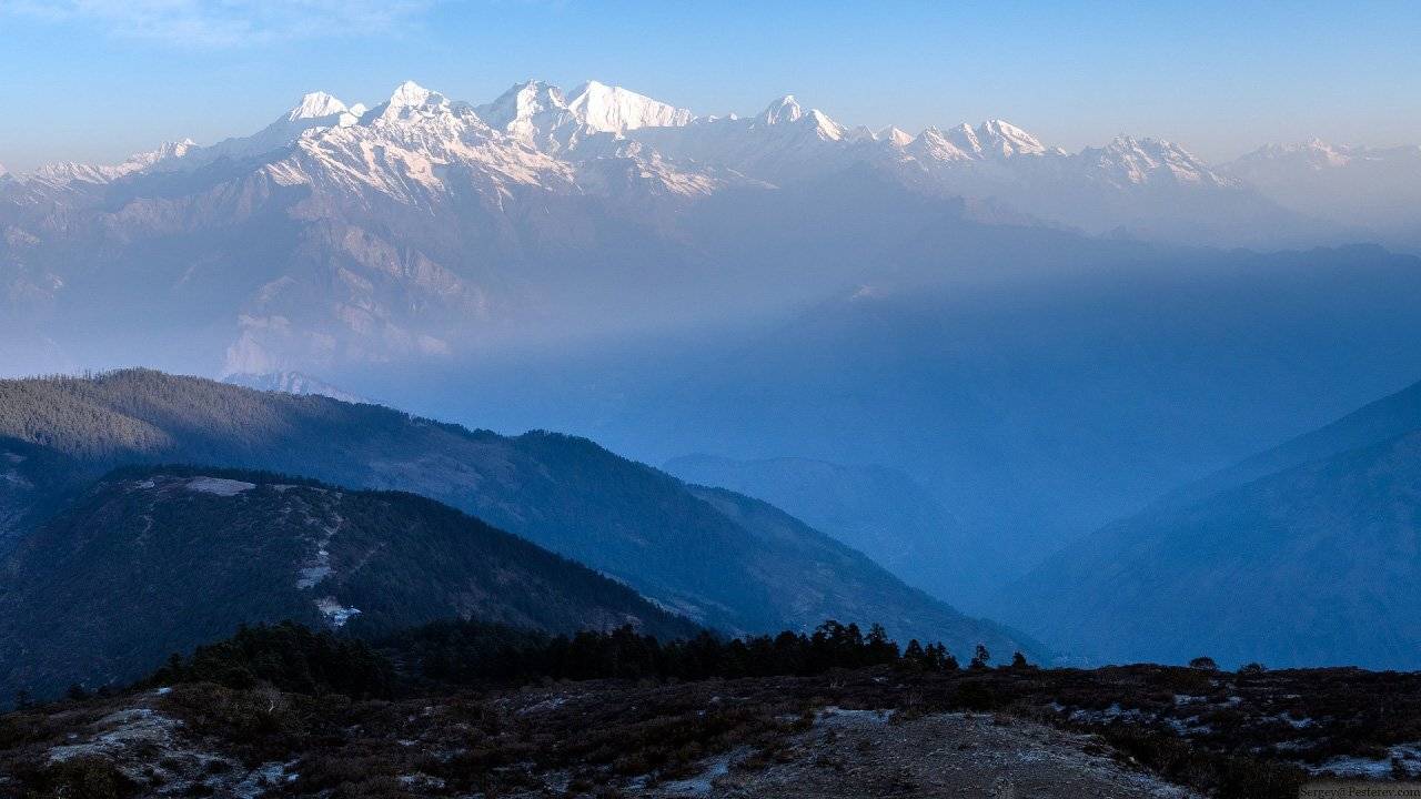 , Сергей Пестерев