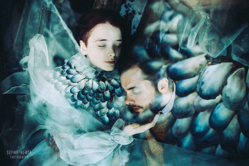 Мимикрия фото превью