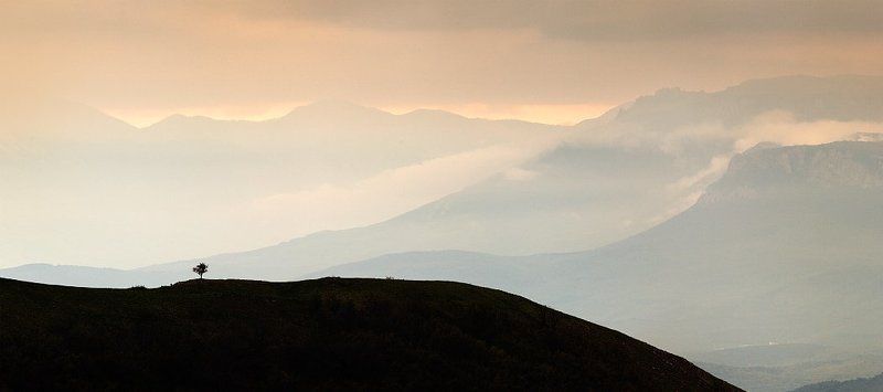 Хребты фото превью