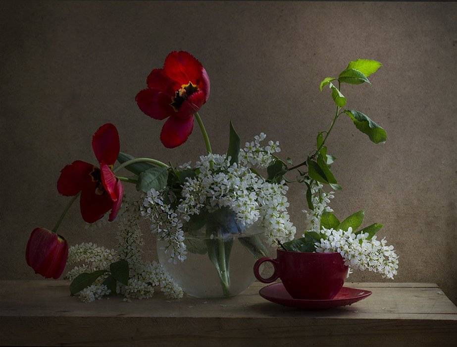 , Петрова Татьяна