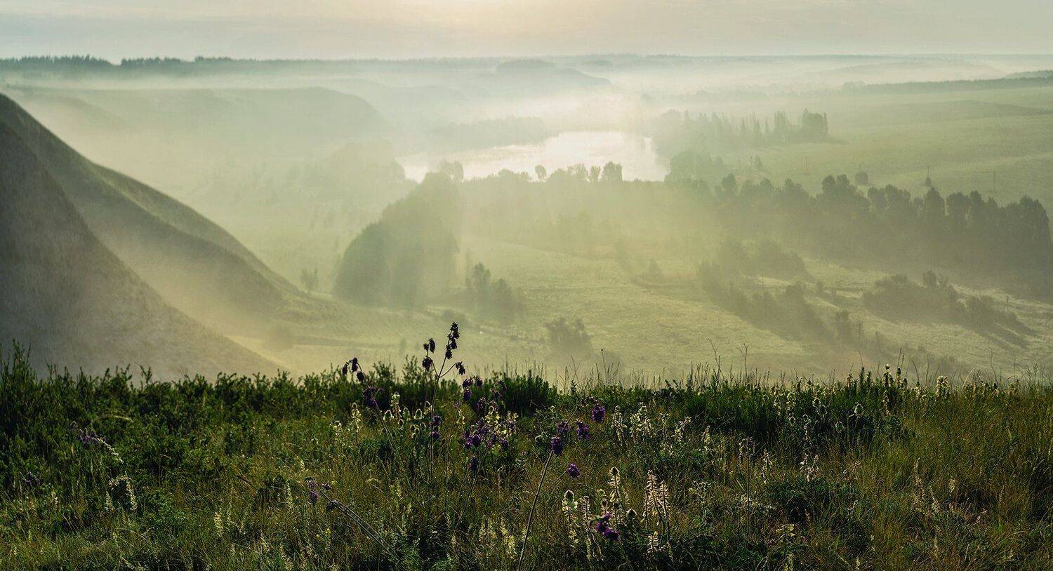 , Игорь Мелекесцев
