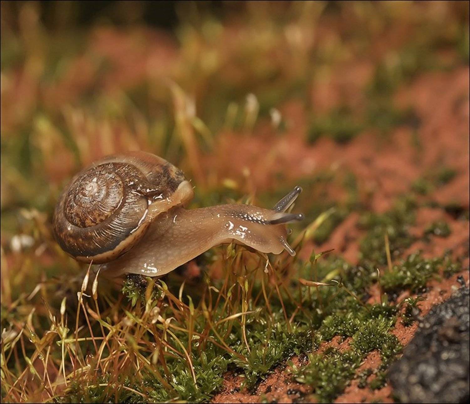 , Андрей Осокин