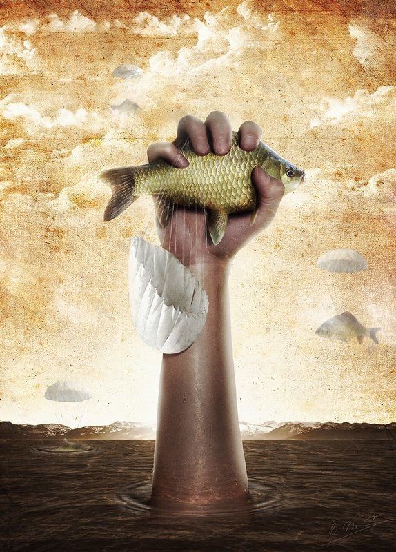 Fish, Shipulin, Vladimir, Владимир, Рыба, Шипулин * * * фото превью