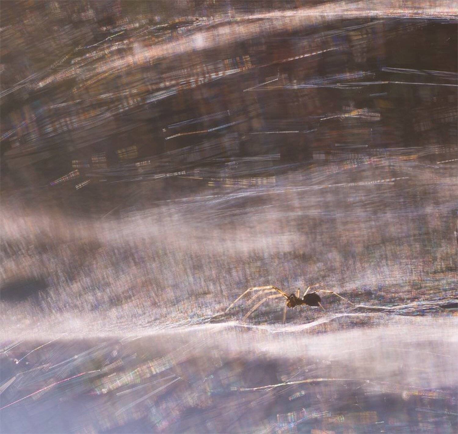 , Геннадий Мещеряков